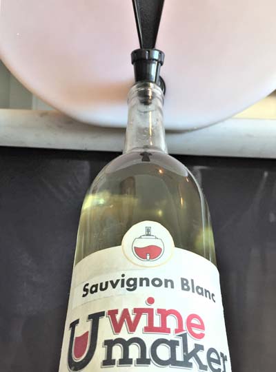 UWinemaker - Single Stage Home Wine Maker - Bottling Day